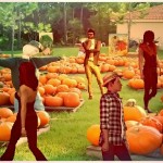 pumpkin-picking-time