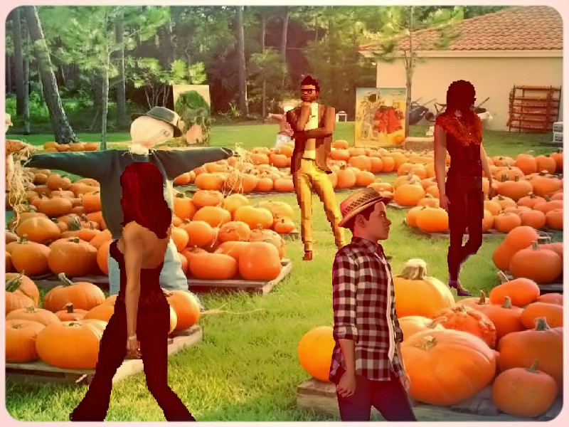 pumpkin-picking-time
